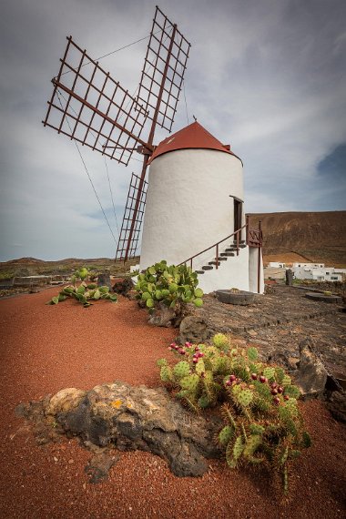 022 Lanzarote, Cactustuin.jpg